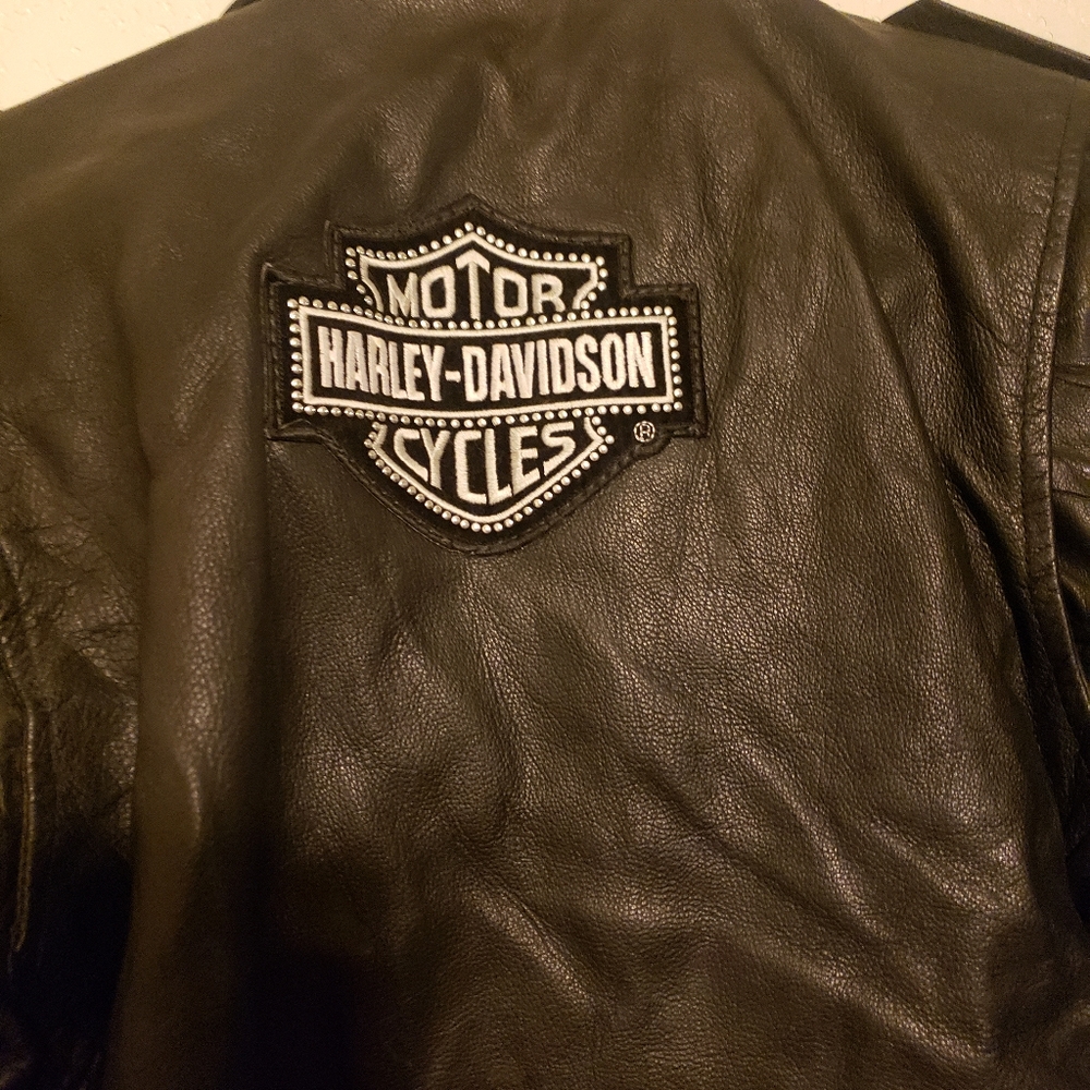 Leather jacket, chaps, and outfit - Picture 6 of 10
